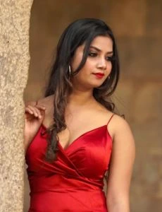 call girl service in Narsinghgarh